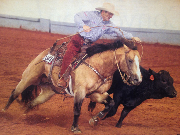 Wool Saddle Pads in Marietta OK