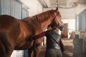 Woman grooming brushes horse out and prepares after ride in stall