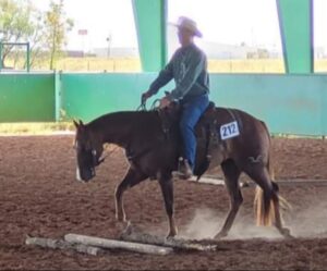 rancher performing at a riding show 